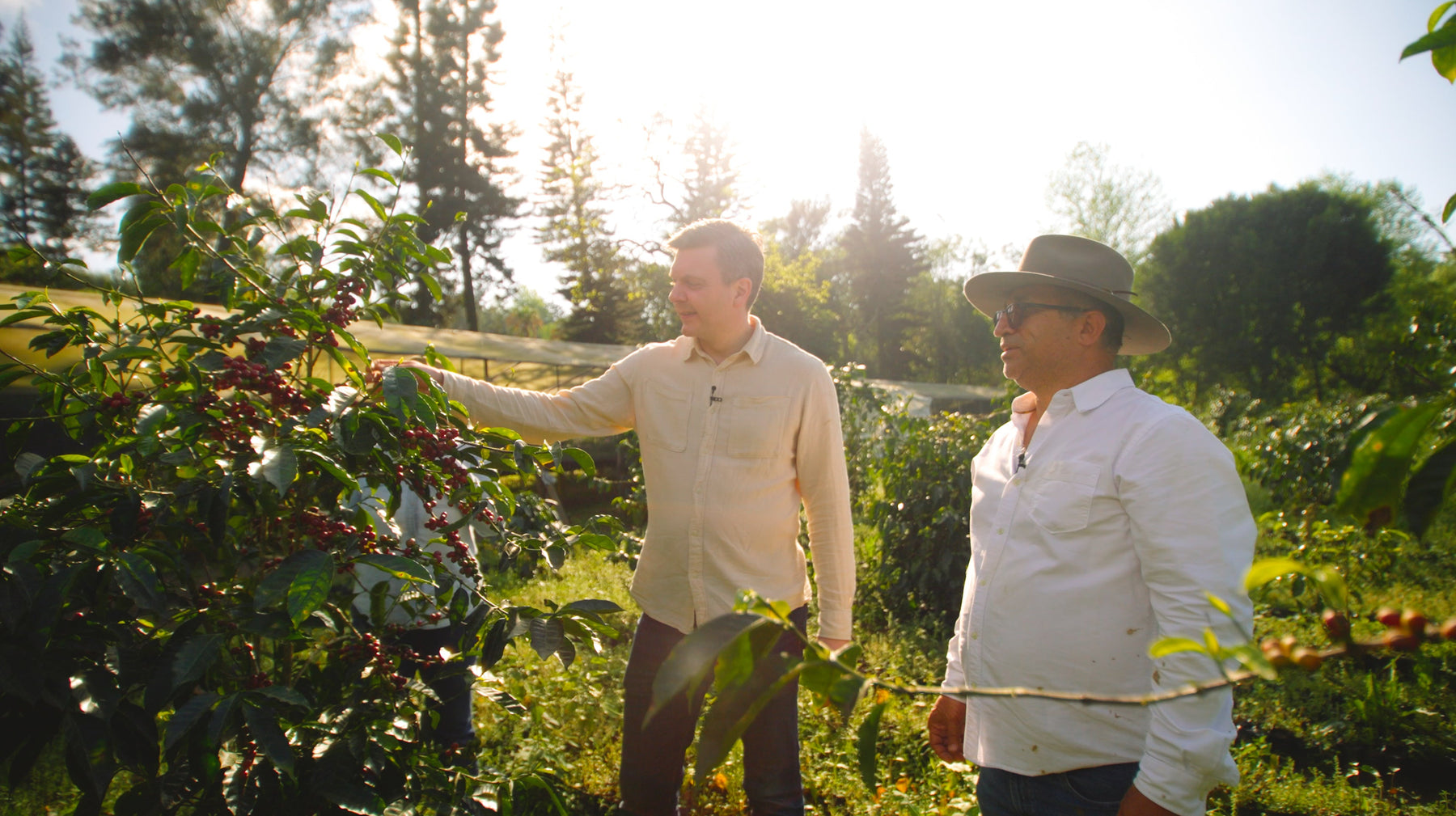 Adapting coffee farms to prepare for the future – A Conversation with Moises Herrera from Finca el Puente (#53)