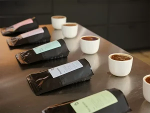 Coffee Tasting and Roastery Tour - Image 3